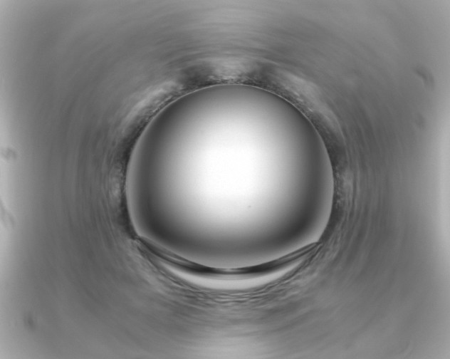 X0000090960505200708091357