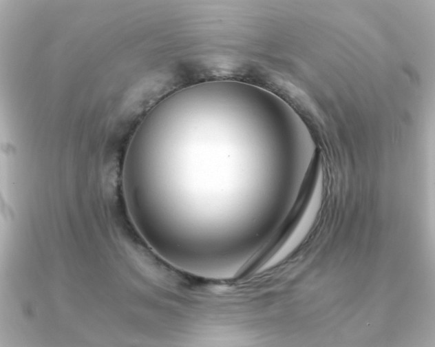 X0000090960509200708091357