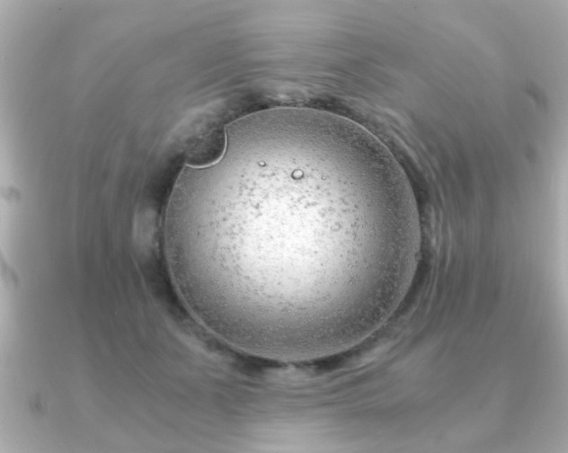 X0000090960511200708091357