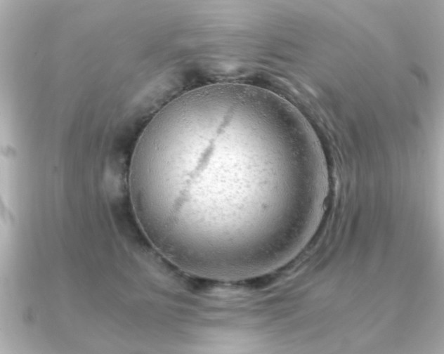 X0000090960515200708091357