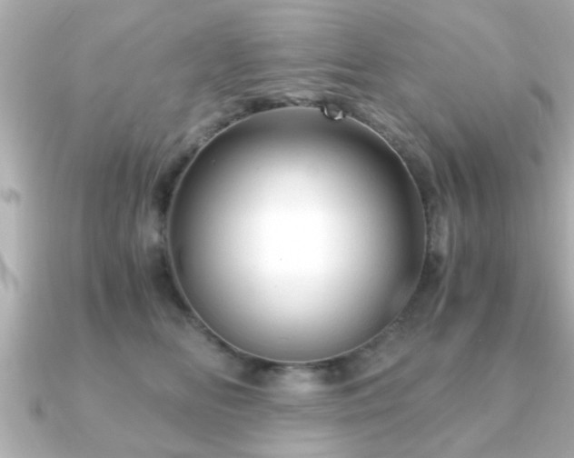 X0000090960518200708091357