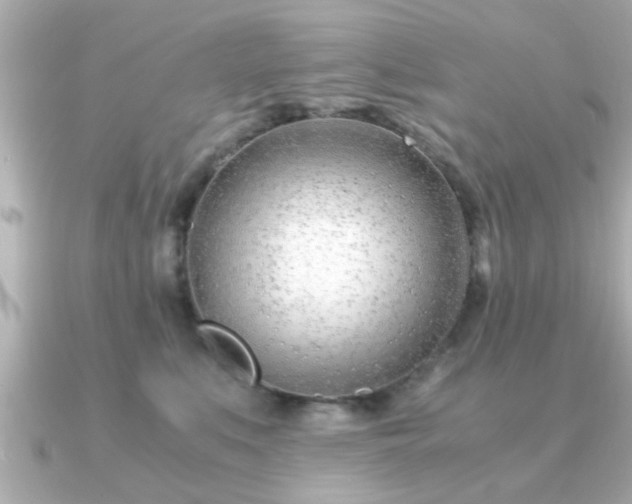 X0000090960519200708091357