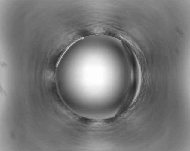 X0000090960521200708091357