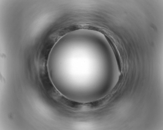 X0000090960525200708091357
