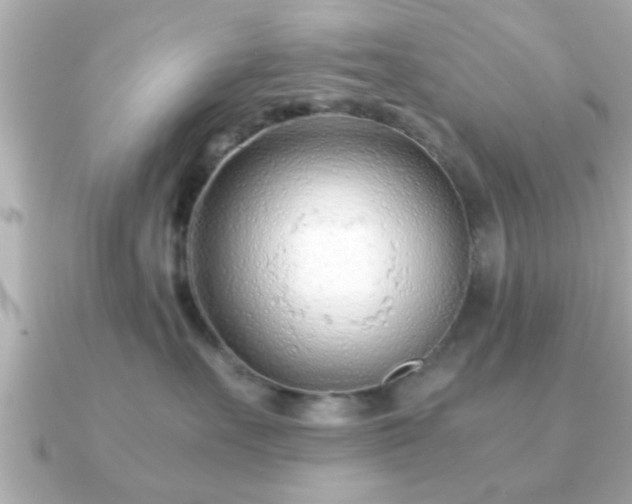 X0000090960527200708091357