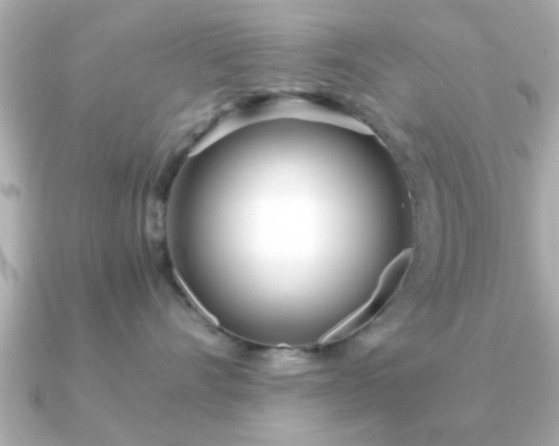 X0000090960528200708091357