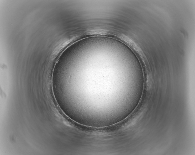 X0000090960529200708091356