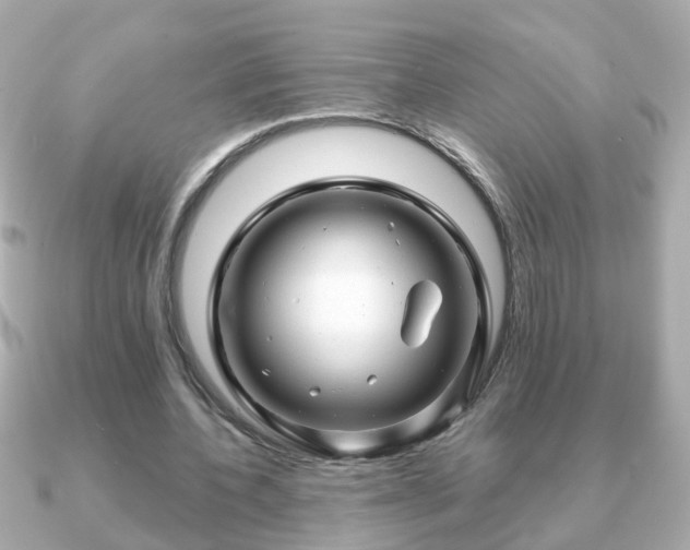 X0000090960532200708091356