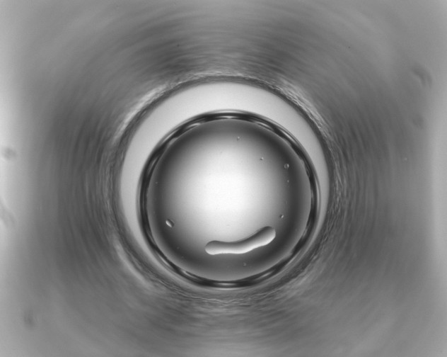 X0000090960534200708091356