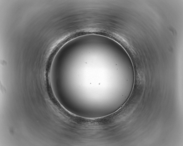 X0000090960535200708091356