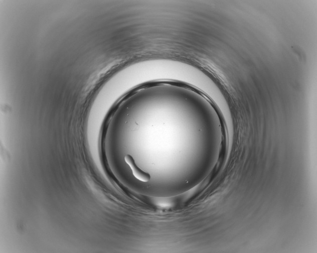 X0000090960542200708091356