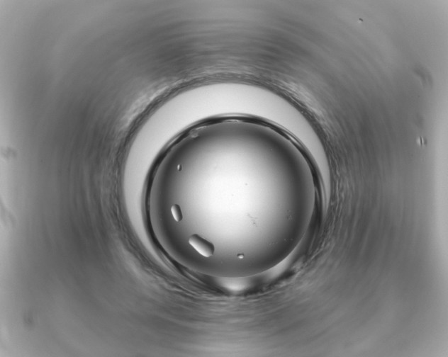 X0000090960544200708091356