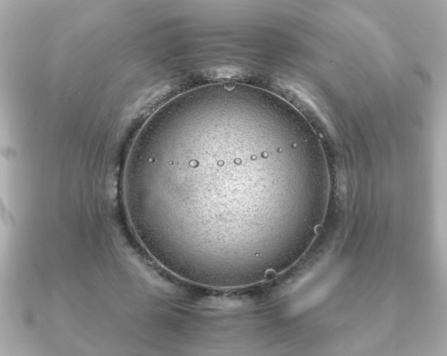 X0000090960545200708091356