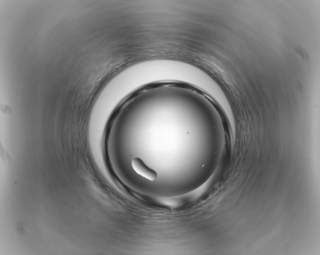 X0000090960546200708091356