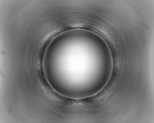 X0000090960547200708091356