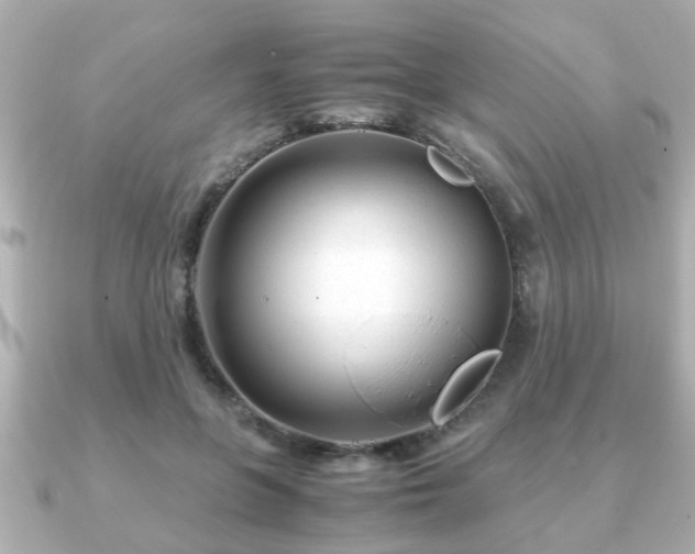 X0000090960551200708091356