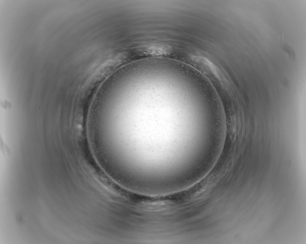 X0000090960553200708091356