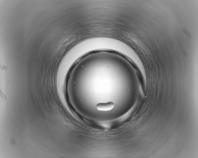 X0000090960554200708091356
