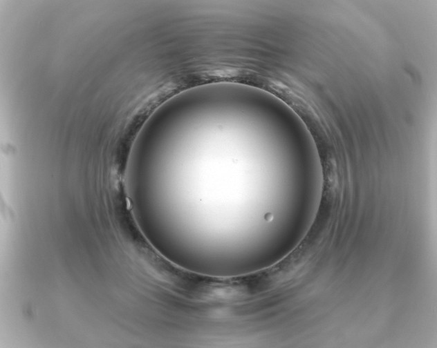 X0000090960555200708091356
