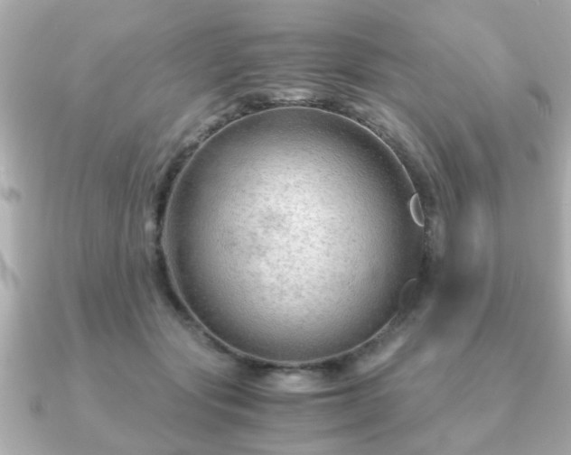 X0000090960557200708091356