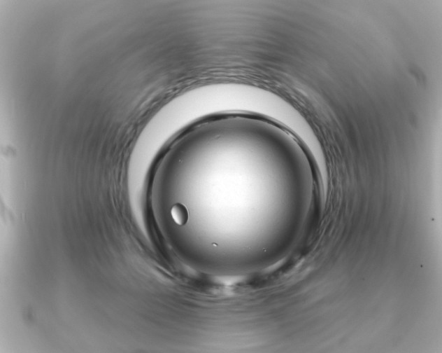 X0000090960558200708091356