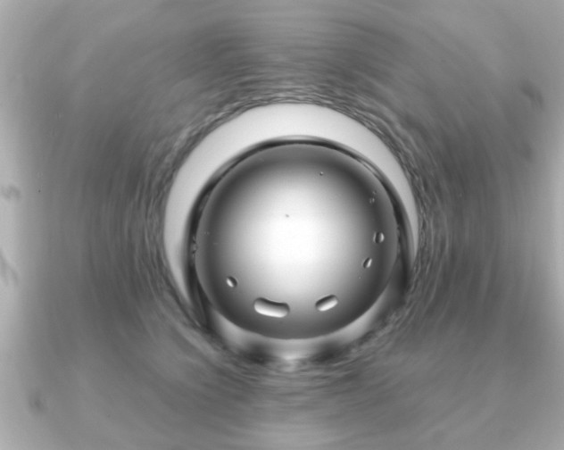 X0000090960564200708091356