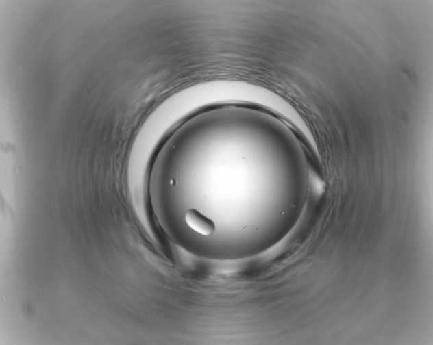 X0000090960568200708091356