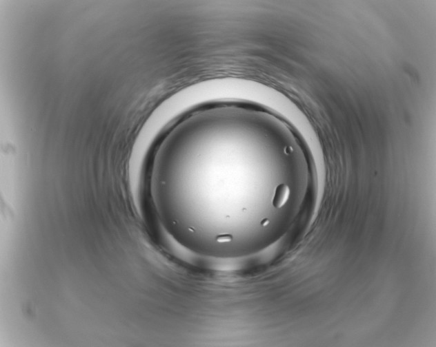 X0000090960574200708091356