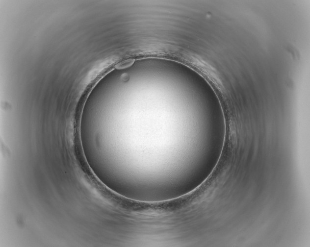 X0000090960578200708091356