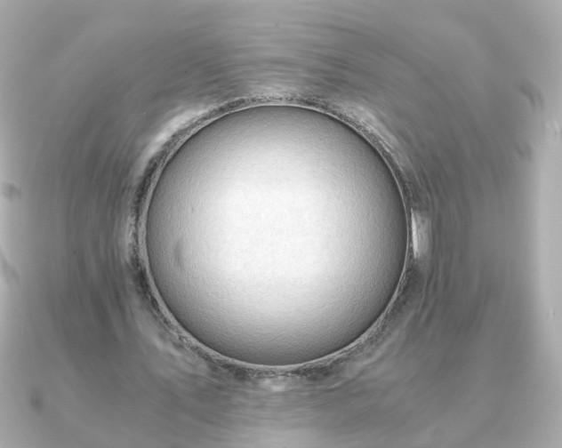 X0000090960579200708091356
