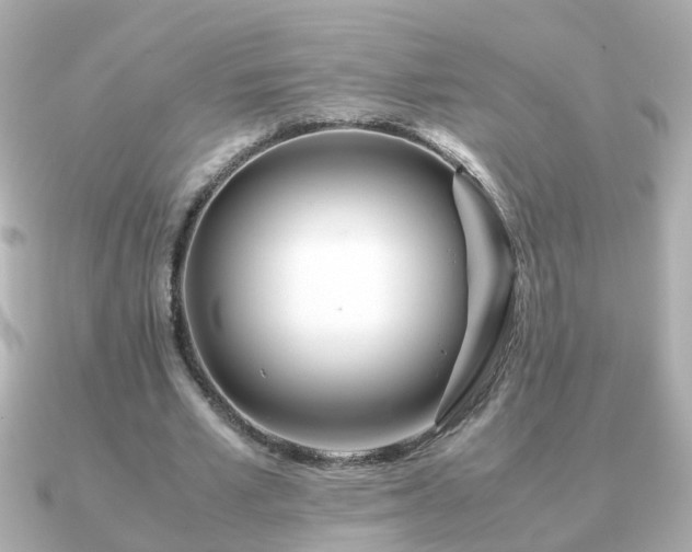 X0000090960581200708091356