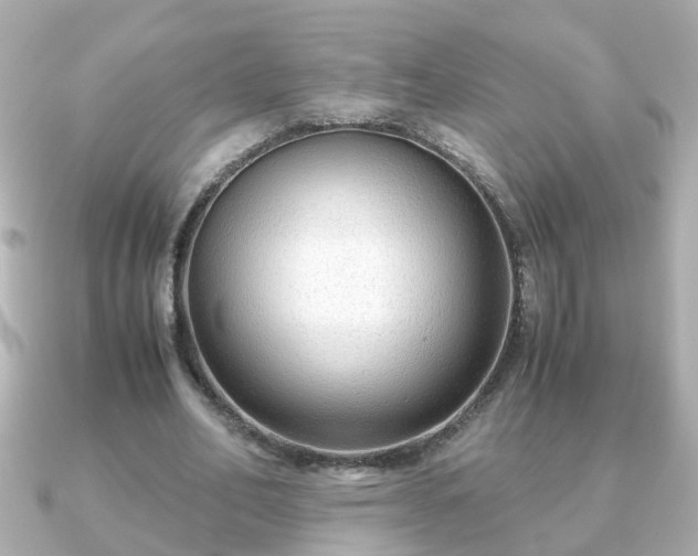 X0000090960582200708091356