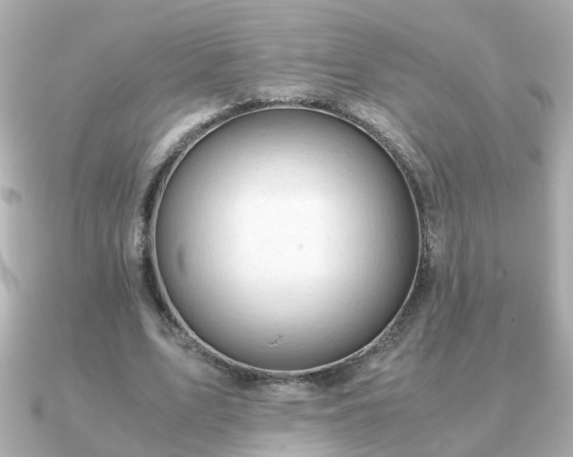 X0000090960583200708091356