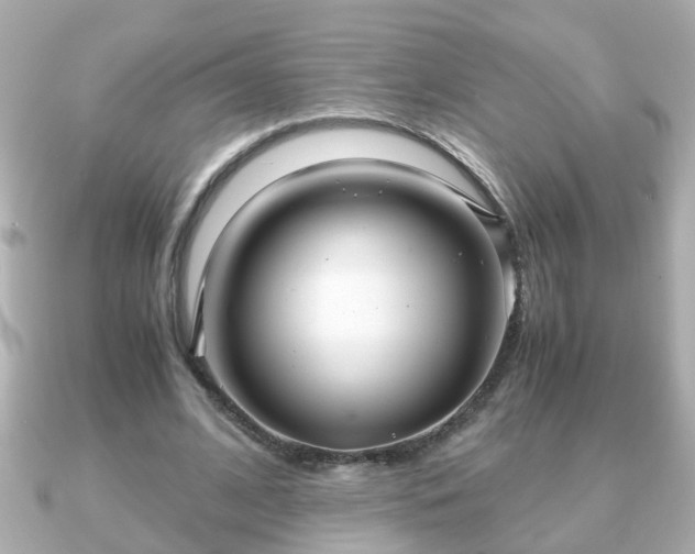 X0000090960584200708091356