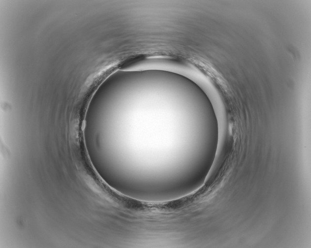 X0000090960585200708091356