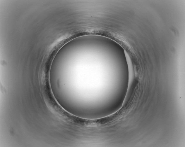 X0000090960587200708091356