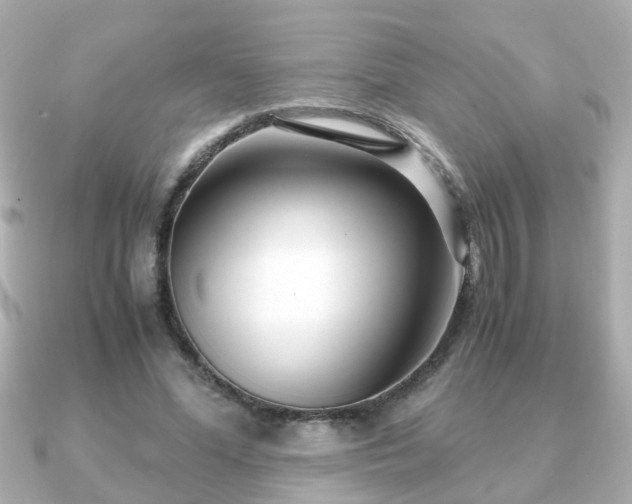 X0000090960588200708091356