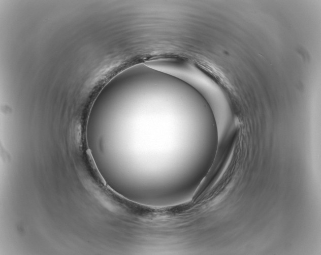 X0000090960589200708091356