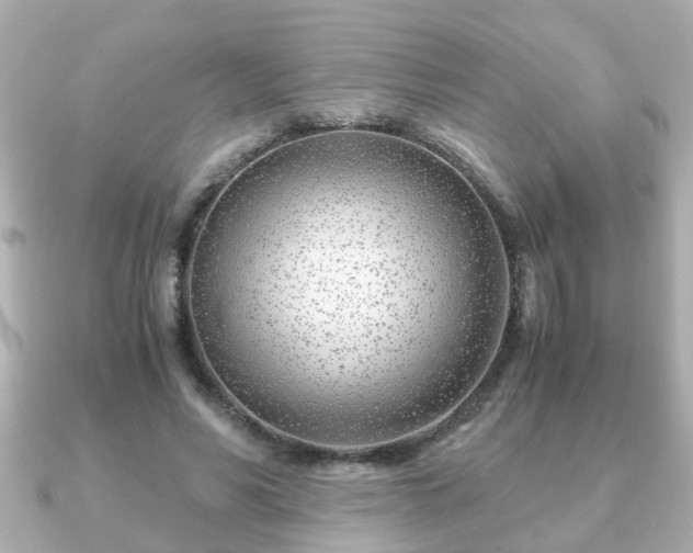 X0000090960590200708091356