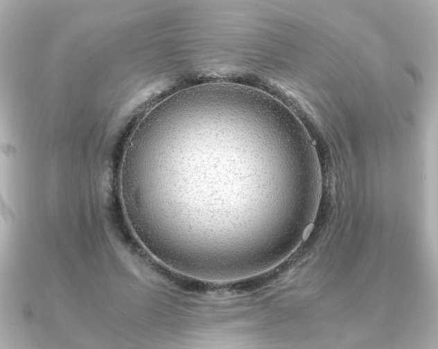 X0000090960591200708091356