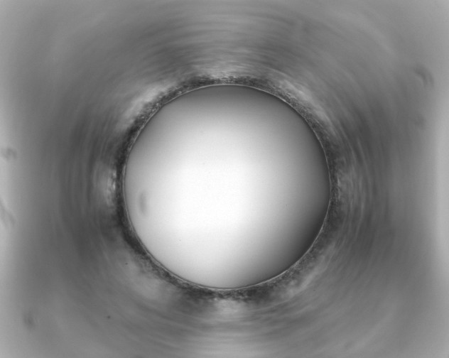 X0000090960592200708091356
