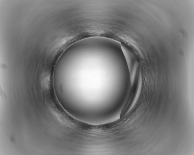 X0000090960596200708091356