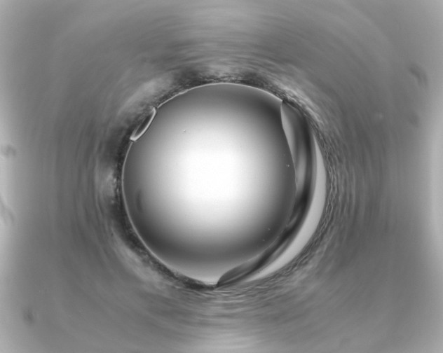 X0000090960597200708091356