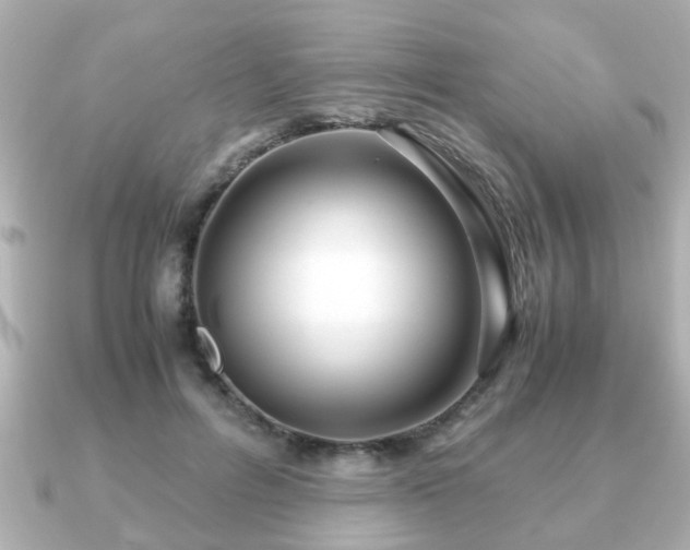 X0000090960600200708091356