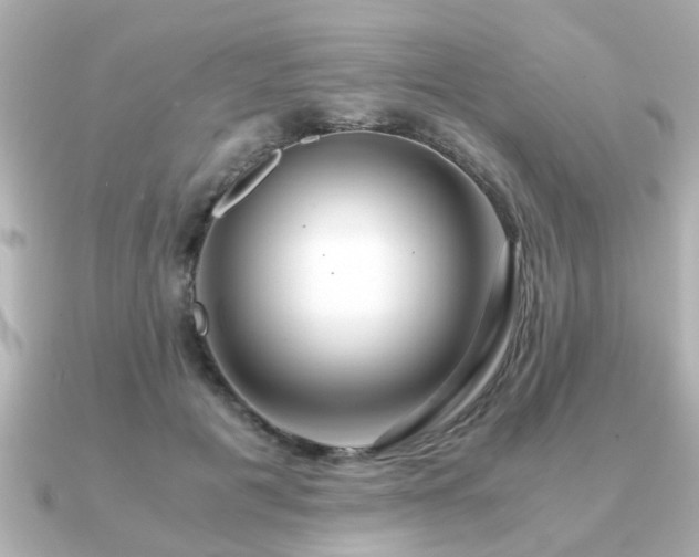 X0000090960601200708091356