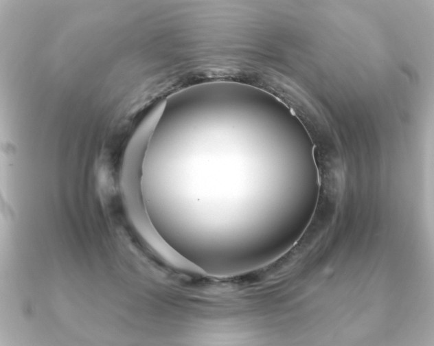X0000090960604200708091356