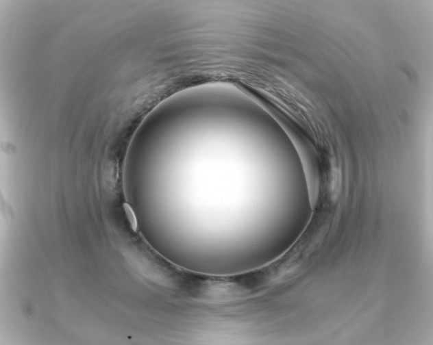 X0000090960605200708091356