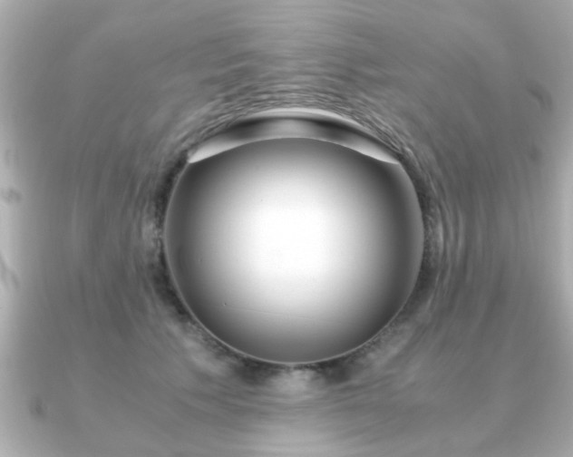 X0000090960609200708091356