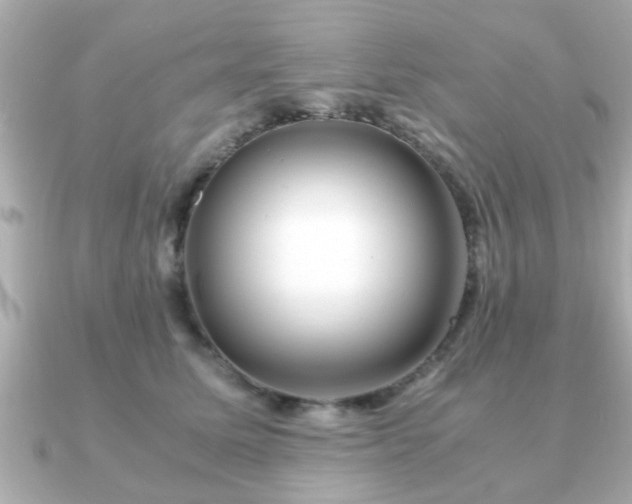 X0000090960611200708091356