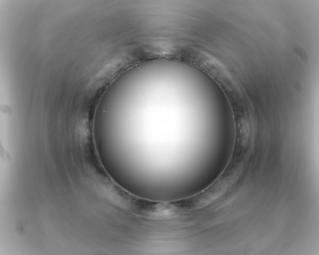 X0000090960612200708091356